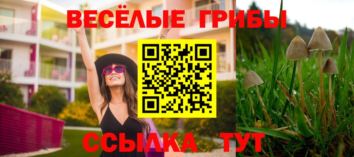 Галлюциногенные грибы ЛСД  Псилоцибиновые грибы MAGIC MUSHROOMS  Кулебаки  Вход с VPN 